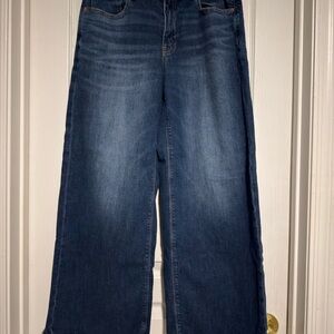 American Eagle Outfitters Dark Blue Flare Jeans